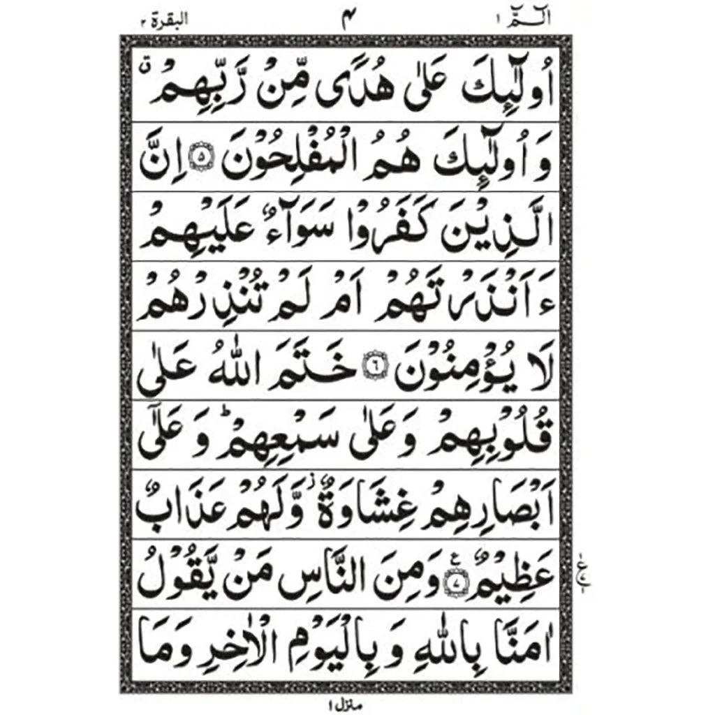 صورة مصغرة 3