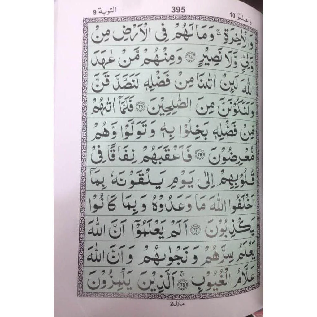 صورة مصغرة 3