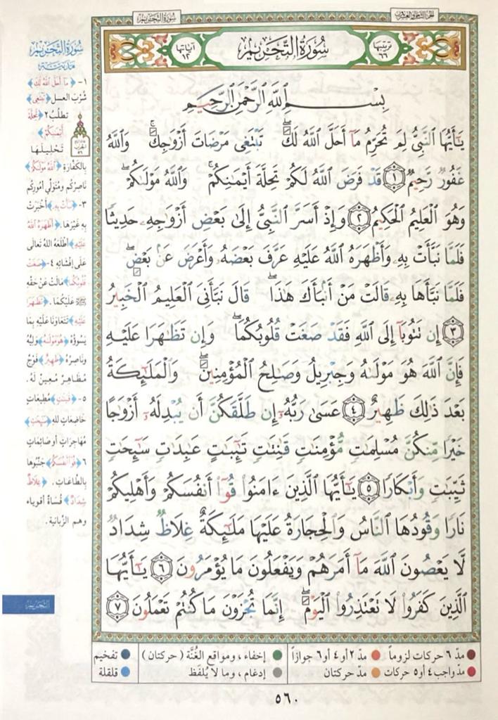 صورة مصغرة 2