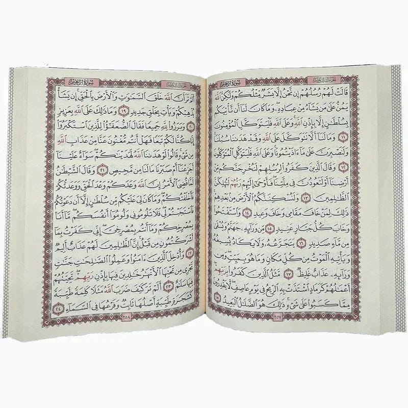صورة مصغرة 2
