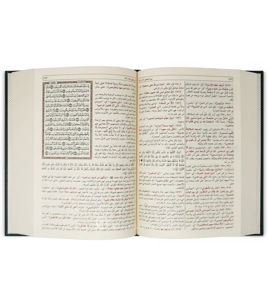 صورة مصغرة 5