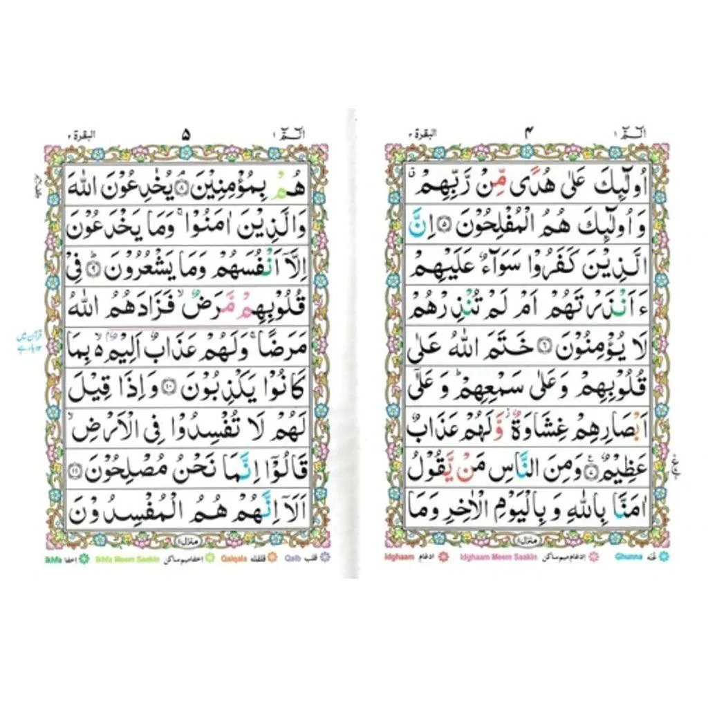 صورة مصغرة 2