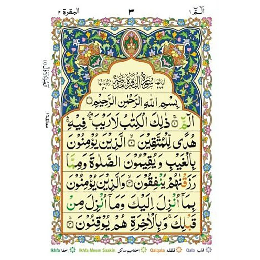 صورة مصغرة 3