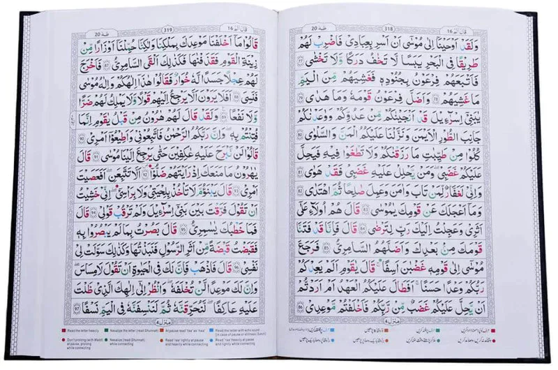 صورة مصغرة 3