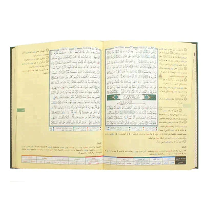 صورة مصغرة 3