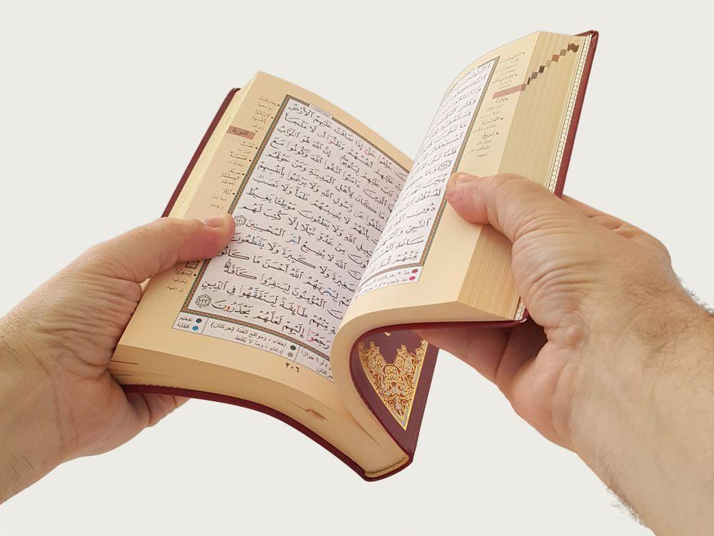 صورة مصغرة 2