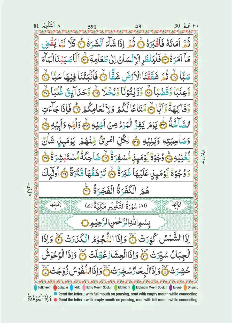 صورة مصغرة 6